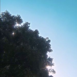 Meet your Posher, Niamh